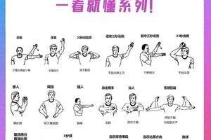 国际篮球球员的训练标准:解析与实战经验